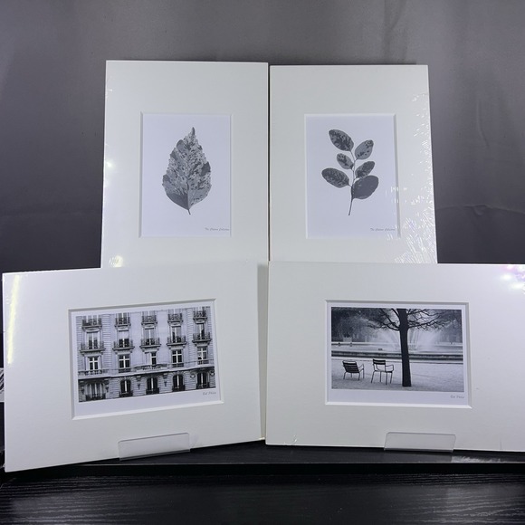 Other - IKEA BILD FJALLSTA Photographic Print Art (4x) Matted B&W Art 11.75" x 8.25"